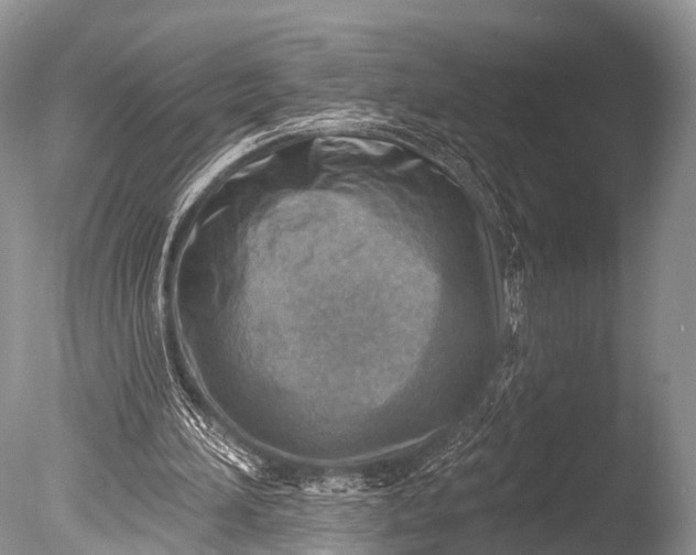 X0000085800196200703301507