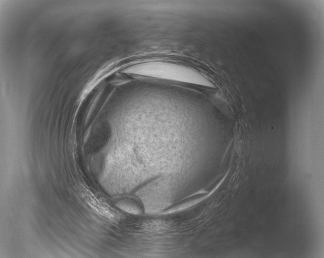 X0000085800198200703301507