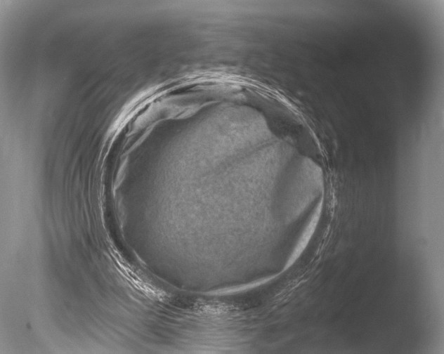 X0000085800199200703301507