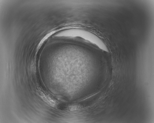 X0000085800200200703301507