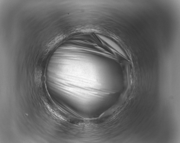 X0000085800201200703301507