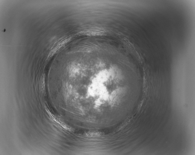 X0000085800202200703301507