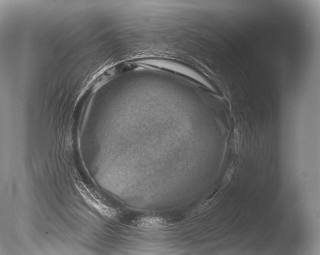 X0000085800203200703301507