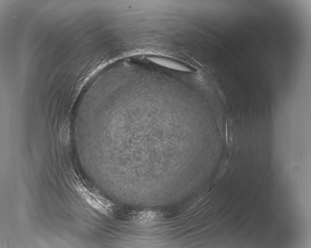 X0000085800204200703301507