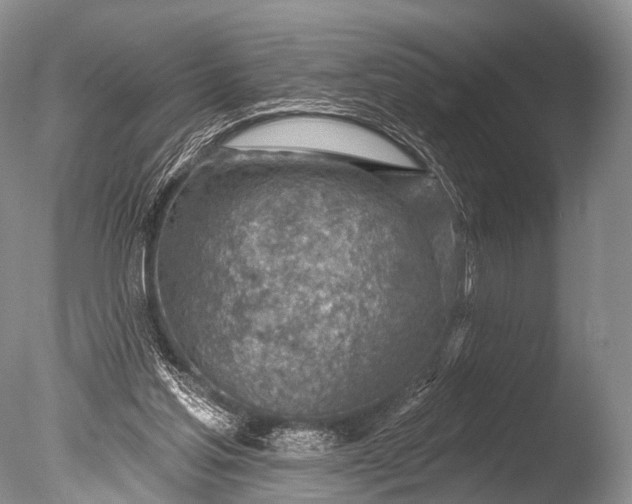 X0000085800205200703301507