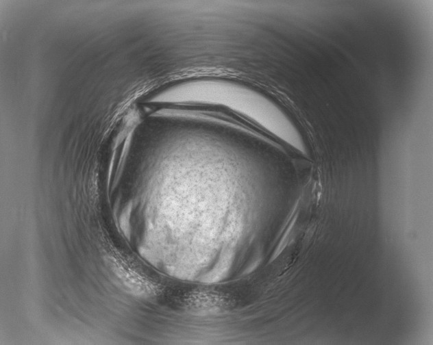 X0000085800207200703301507