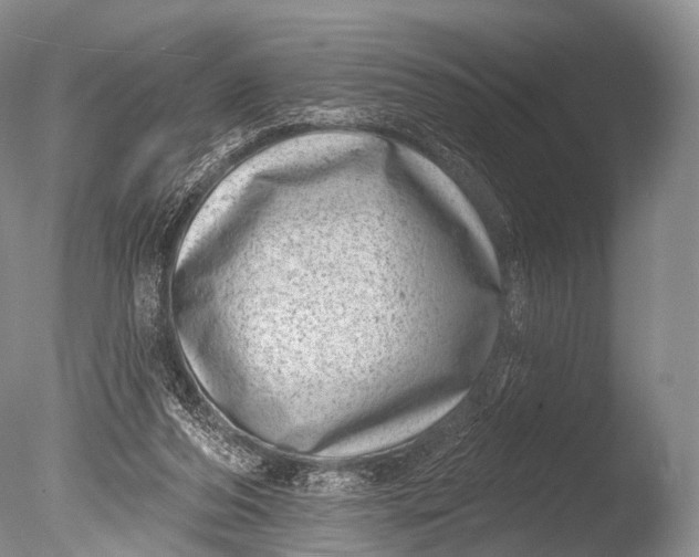 X0000085800208200703301507