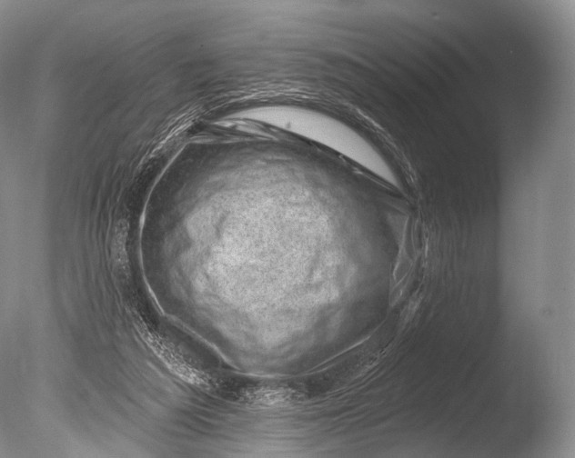 X0000085800209200703301507