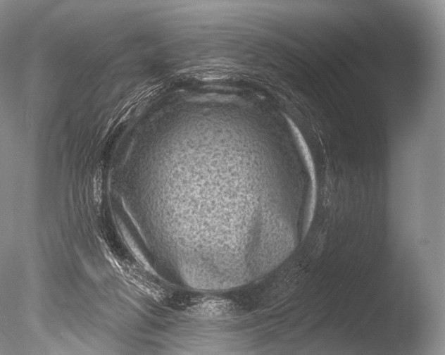 X0000085800210200703301507