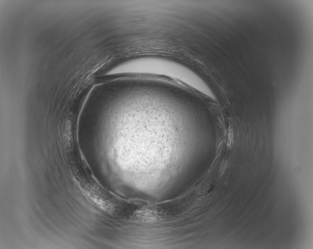 X0000085800211200703301507