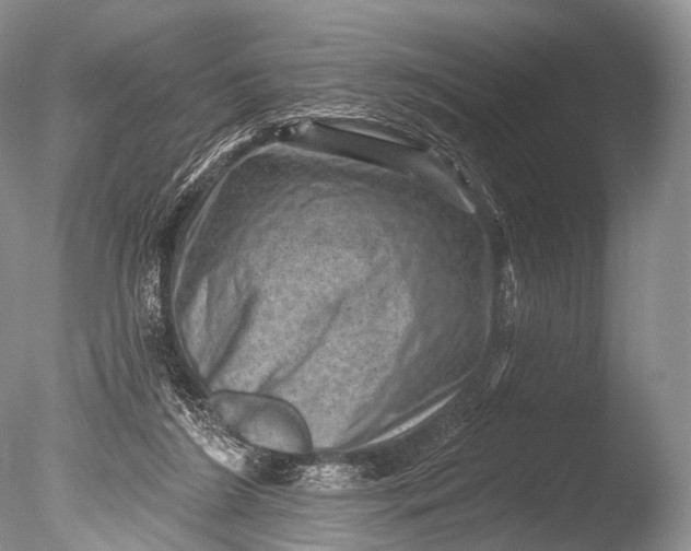 X0000085800212200703301507