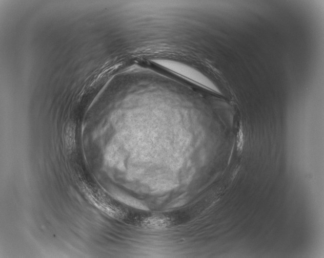 X0000085800213200703301507