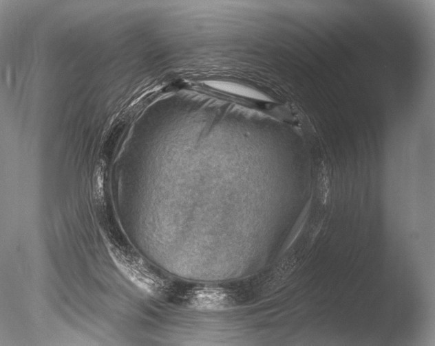 X0000085800214200703301507