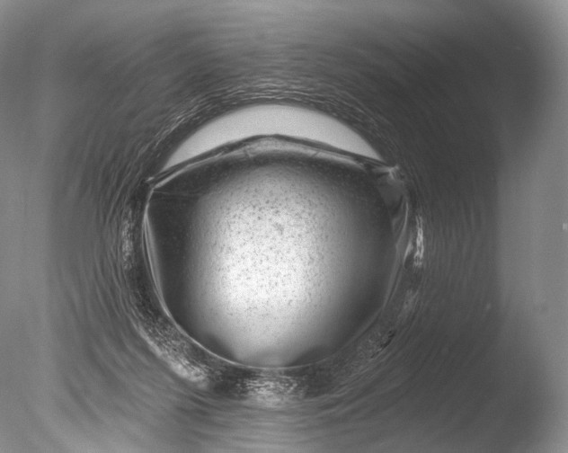 X0000085800215200703301507