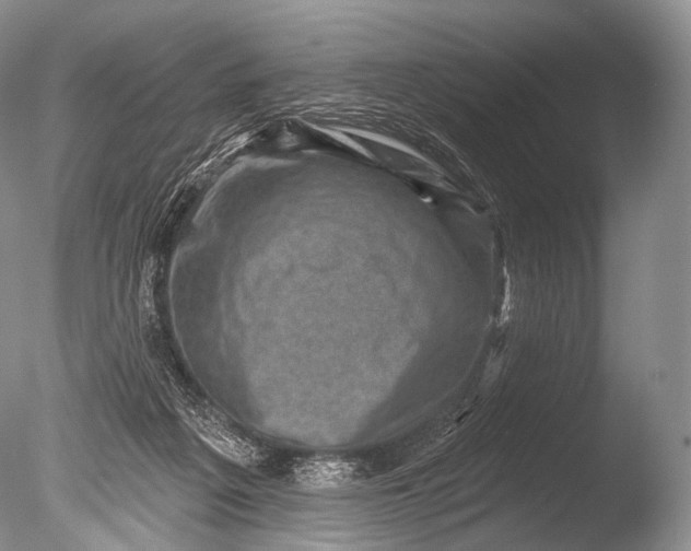 X0000085800217200703301507