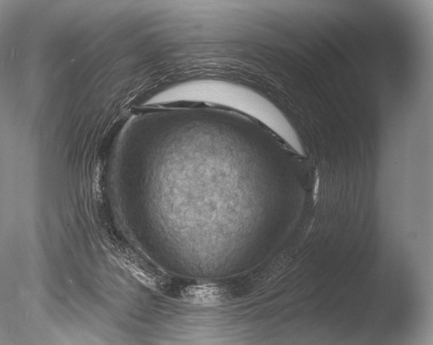 X0000085800219200703301507