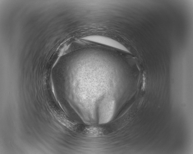 X0000085800221200703301507