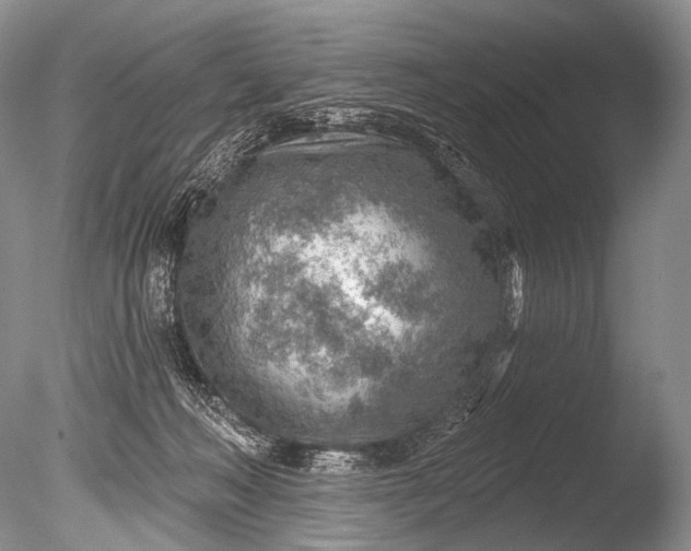 X0000085800222200703301507