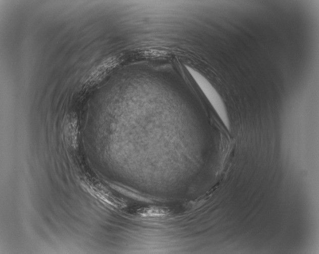 X0000085800223200703301507