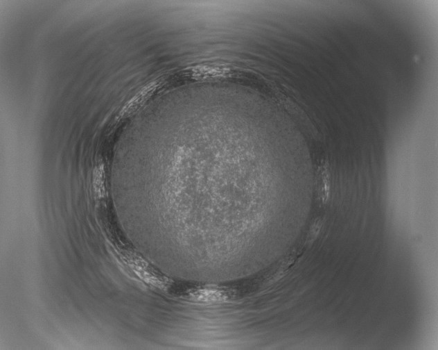 X0000085800224200703301507