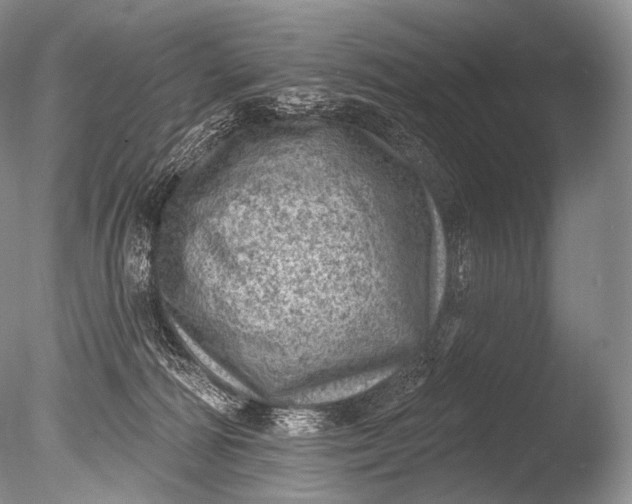 X0000085800226200703301507