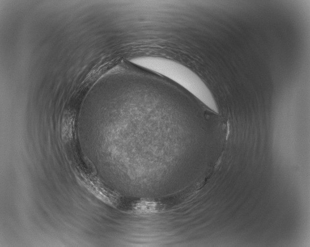 X0000085800227200703301507