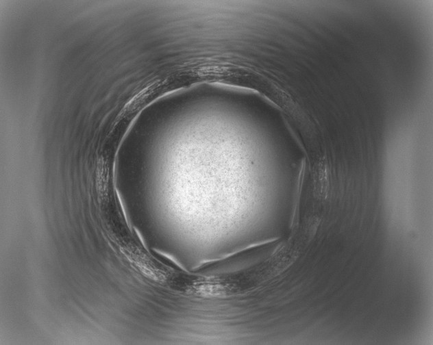 X0000085800228200703301507