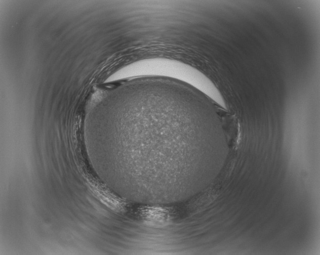 X0000085800229200703301507