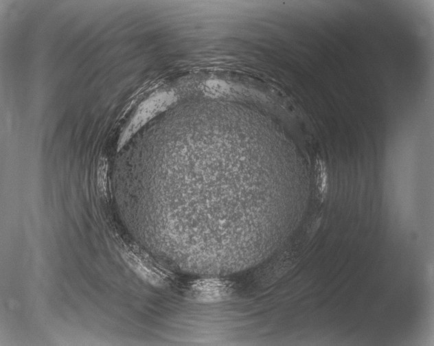 X0000085800231200703301506