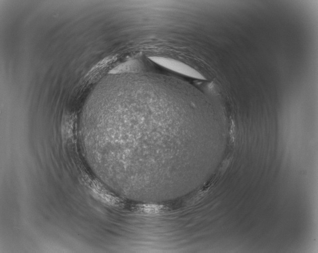 X0000085800233200703301506