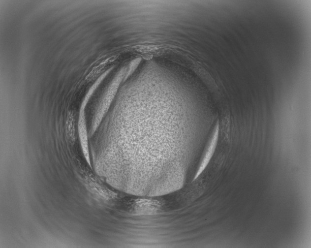 X0000085800234200703301506