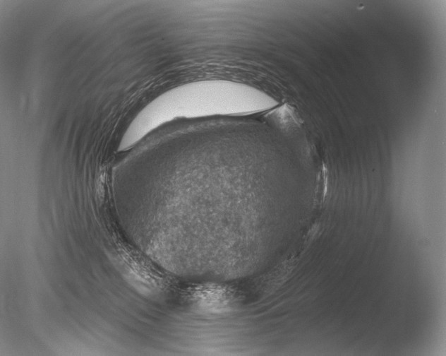 X0000085800235200703301506