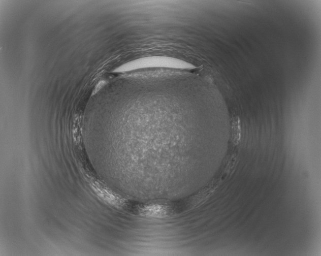 X0000085800237200703301506