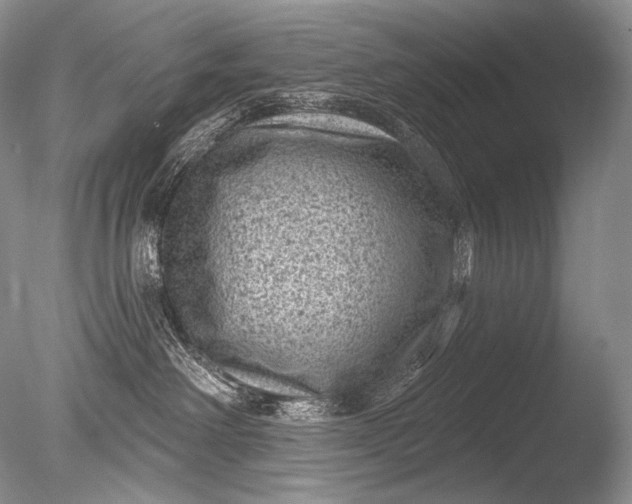 X0000085800238200703301506