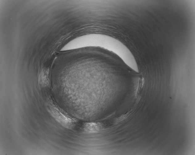 X0000085800239200703301506