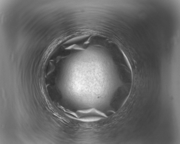 X0000085800241200703301505