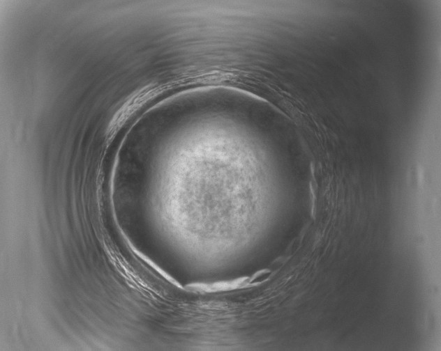 X0000085800242200703301506