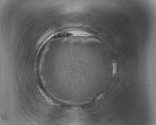 X0000085800243200703301506