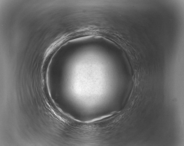 X0000085800245200703301506