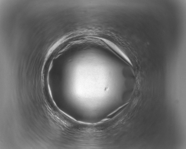 X0000085800246200703301506