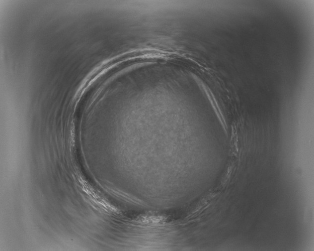 X0000085800247200703301506