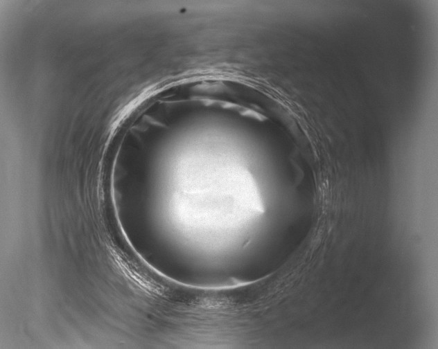 X0000085800248200703301506