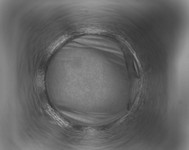 X0000085800249200703301506