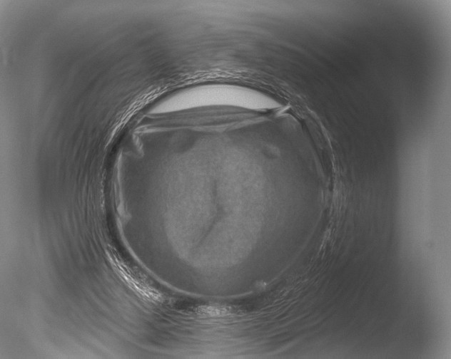 X0000085800250200703301506