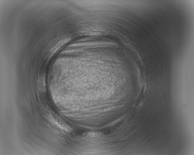 X0000085800251200703301506