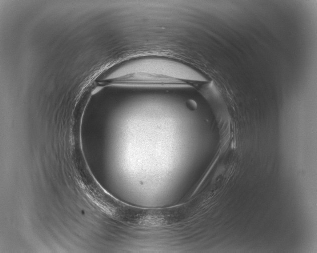 X0000085800252200703301506