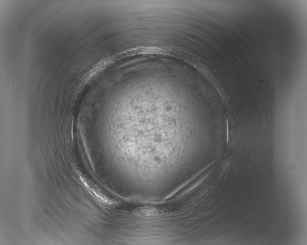 X0000085800253200703301506