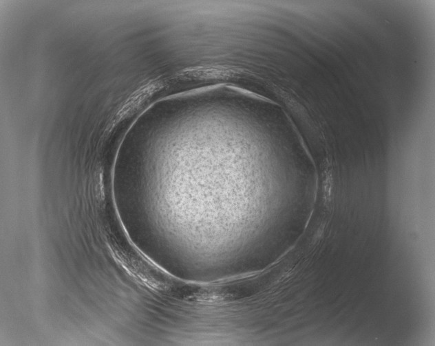 X0000085800254200703301506