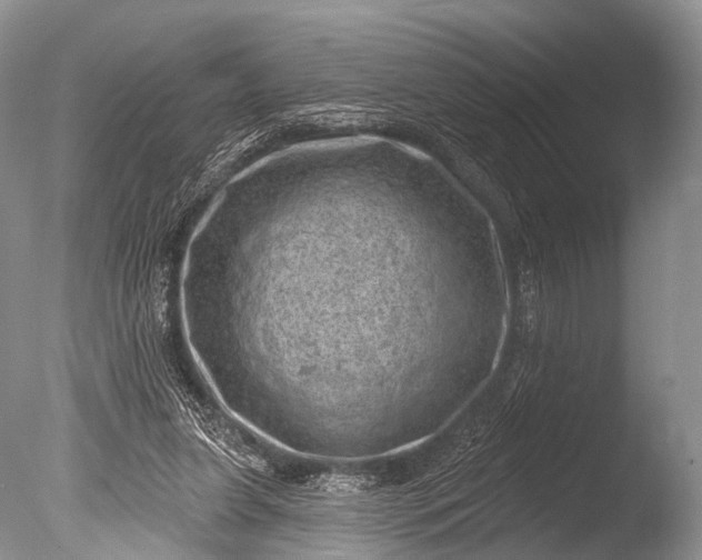 X0000085800255200703301506