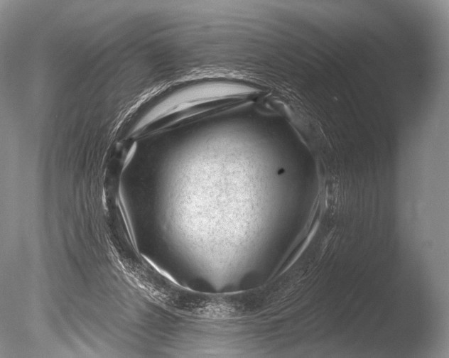 X0000085800256200703301506